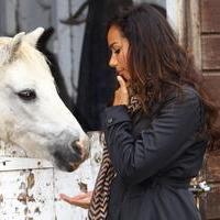 Leona Lewis visits the Hopefield Animal Sanctuary - Photos | Picture 98775